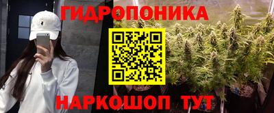 сатива Гусиноозёрск