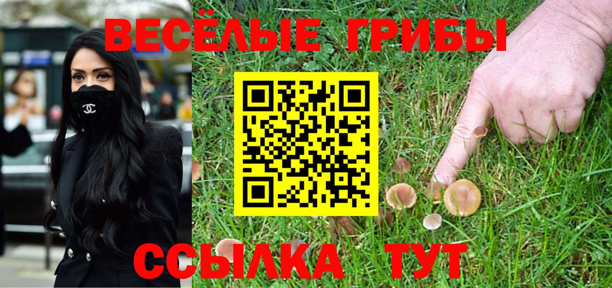Галлюциногенные грибы GOLDEN TEACHER  Вход с VPN  Обнинск 