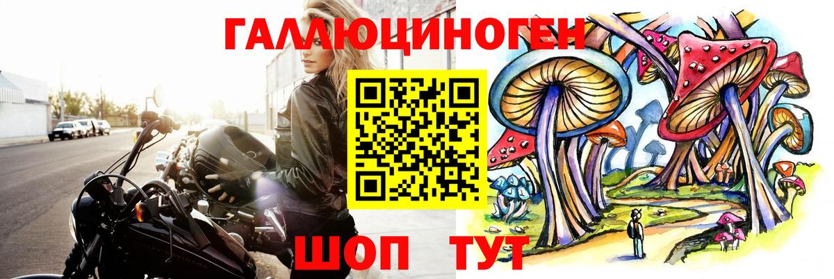 Псилоцибиновые грибы Psilocybe Обнинск