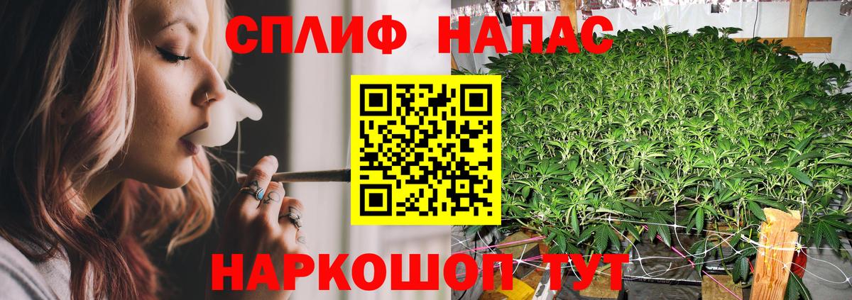 Шишки марихуана семена Обнинск